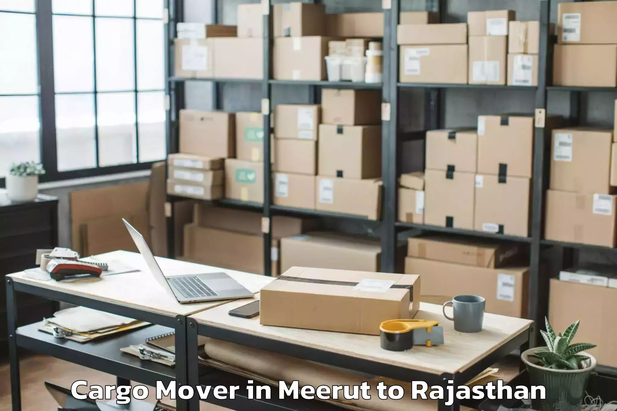 Book Meerut to Pindwara Cargo Mover Online